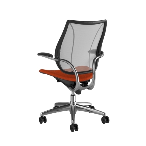 A - Polished Aluminum Frame with Black Trim